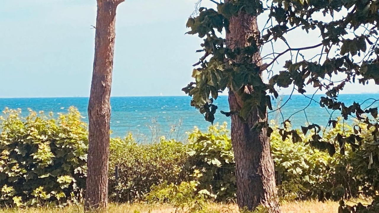 Haus Am Strand Бреге Экстерьер фото